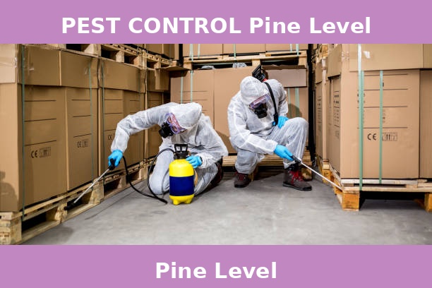 PEST CONTROL Pine Level